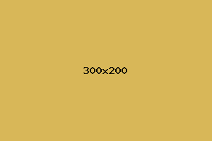 placeholder