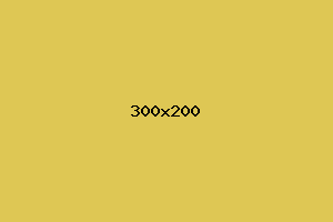 placeholder