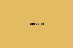placeholder