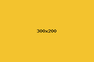 placeholder