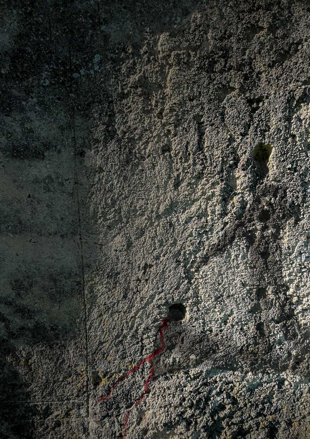 laveritadellamemoria-sfondo.jpg